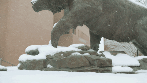 snow college GIF by Rochester Institute of Technology