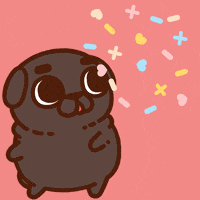 GIF by Puglie Pug