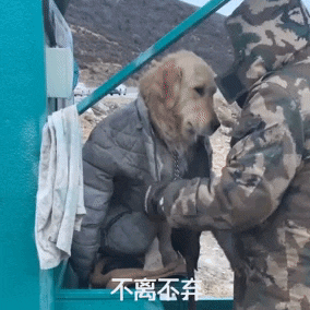 cuteanimalland giphyupload GIF