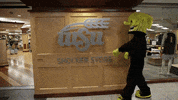 Wu_Shock college wsu wu collegelife GIF