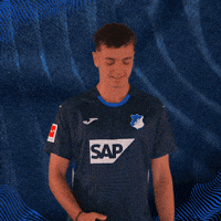 Sport Logo GIF by TSG Hoffenheim
