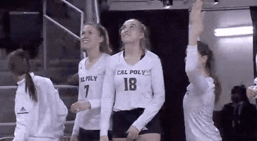 volleyball mustangs GIF by NCAA Championships