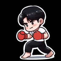 Fight Fighting GIF