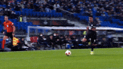Europa League Goal GIF by SK Sturm Graz