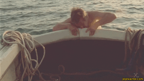 universe jaws GIF
