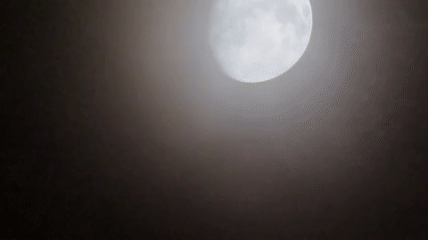 ingovalgma giphyupload GIF