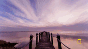 GIF by National Geographic Channel