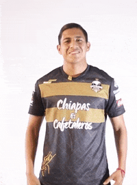 Cafe GIF by Cafetaleros de Chiapas