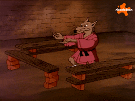 Tmnt GIF by Teenage Mutant Ninja Turtles