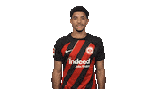 Eintracht Frankfurt Hello Sticker by Bundesliga