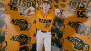 Baseball Bison GIF by NDSU Athletics