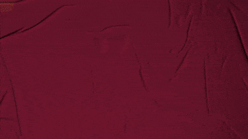 College Baseball GIF by Pearl River Athletics