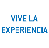 AircatGlobal experiencia aircatfly aircatglobal ultraligero Sticker