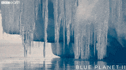 melting climate change GIF by BBC Earth