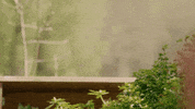 Summer Fun Reaction GIF by Hallmark Channel