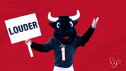 Get Up Nfl GIF by Houston Texans