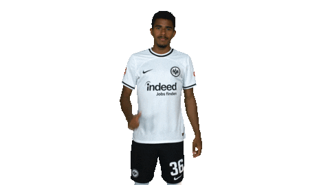 Daumen Hoch Ok Sticker by Eintracht Frankfurt