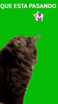 Amigos Sorprendido GIF by Murcianys LLC