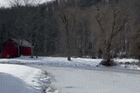 Snow Nieve GIF by This Bushwick Life