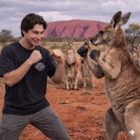 Jonathantoe GIF
