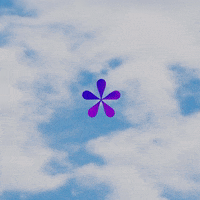 moonshift_music cool asterisk GIF