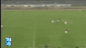 nss-sports  GIF