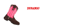 Cancer Pink Ribbon Sticker by DurangoBoots
