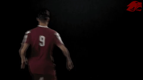 soccer GIF by CUCougars