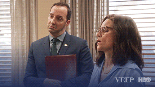julia louis-dreyfus GIF by Veep HBO