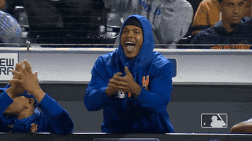 Ny Mets Sport GIF by New York Mets