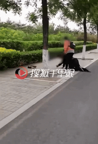 yj_jane giphyupload GIF