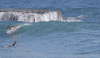 surf GIF