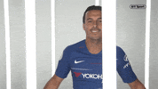 premier league celebration GIF by BT Sport