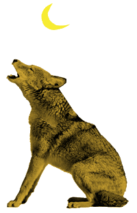 San Francisco Wolf Sticker by Outside Lands