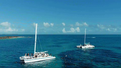 Partypokerlive giphyupload poker paradise bahamas GIF