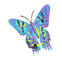 Pink Flying Sticker