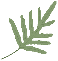 Grow New Leaf Sticker