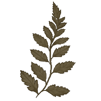 Botanical Sticker