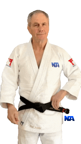 Ponder Martial Arts Sticker by NA Effective Fighting