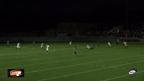 flikulti ultimate frisbee flik GIF