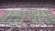Outer Space Usa GIF by tbdbitl