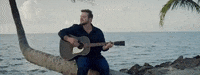 Palm Tree Guitar GIF by Kameron Marlowe
