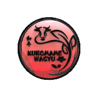 Japanese Wagyu Sticker by Evo Meats Ltd