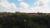 GIF by University of Florida