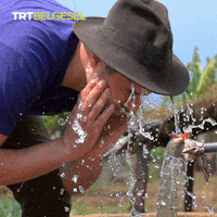 Cooling Good Morning GIF by TRT