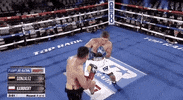 toprank fight boxing fighting espn GIF