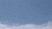honda lol GIF by Tom Coronel