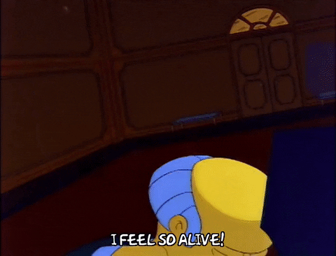 Season 3 Lol GIF by The Simpsons