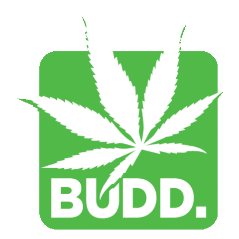 GetBudd giphyupload cbd bud budd Sticker