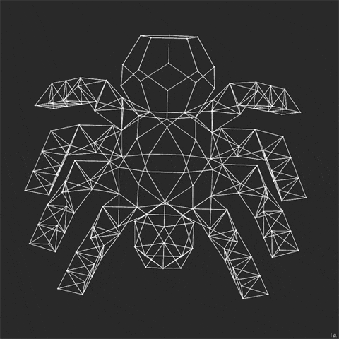 Web Spider GIF by Trevor Anderson